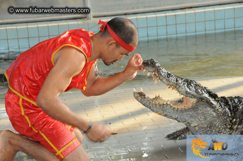 Crocodile Farm