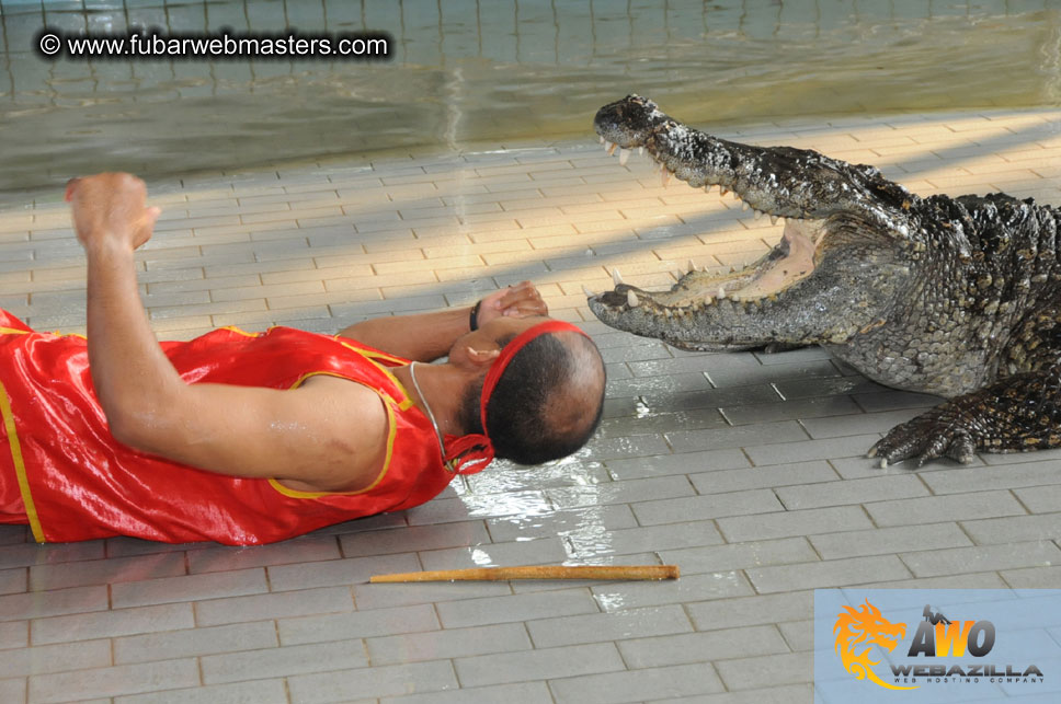 Crocodile Farm