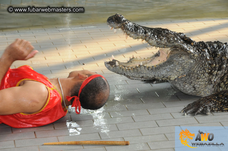 Crocodile Farm