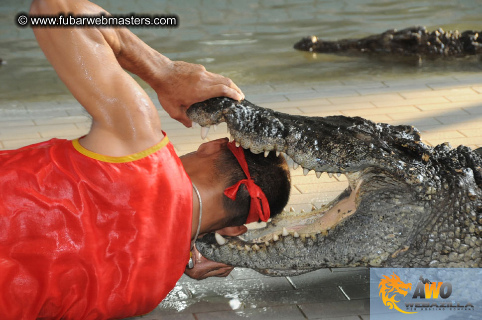 Crocodile Farm