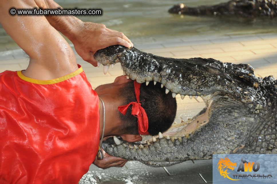 Crocodile Farm