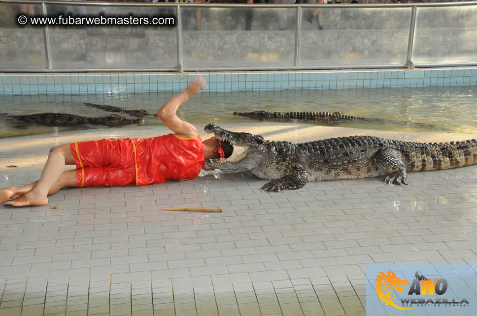 Crocodile Farm