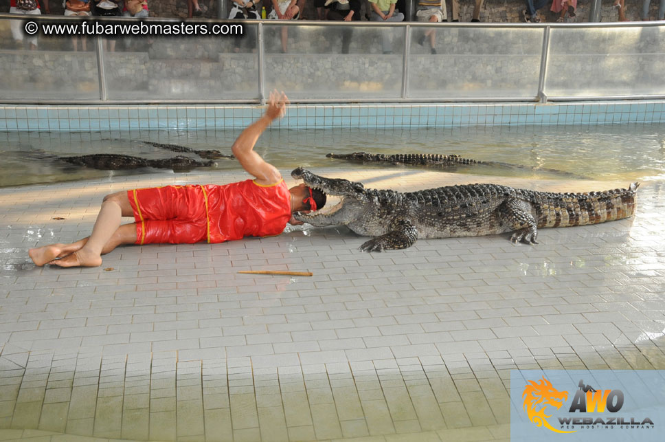 Crocodile Farm