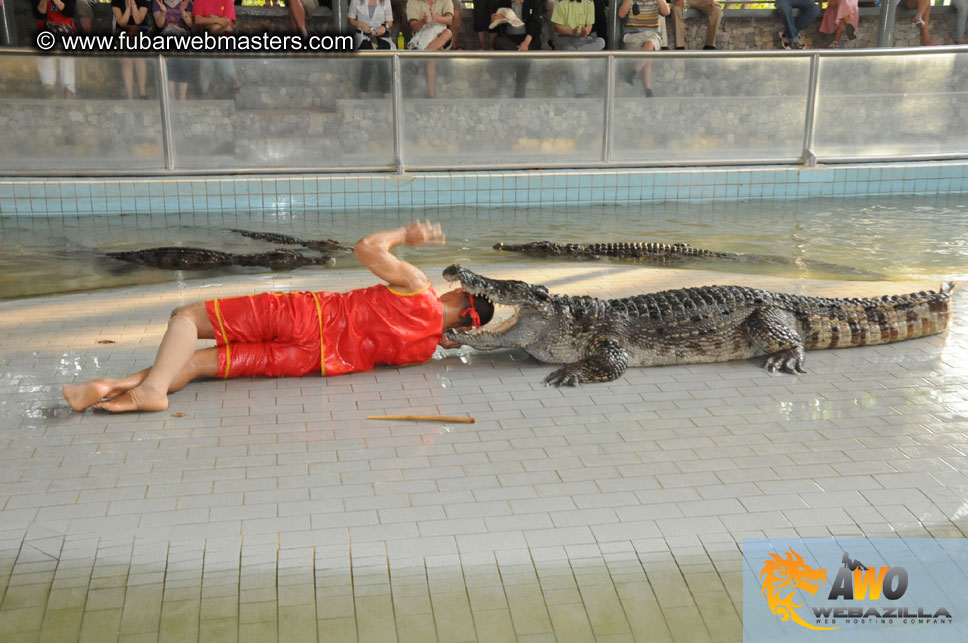 Crocodile Farm