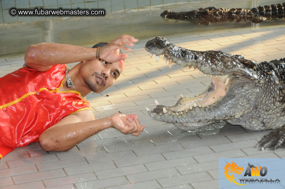 Crocodile Farm