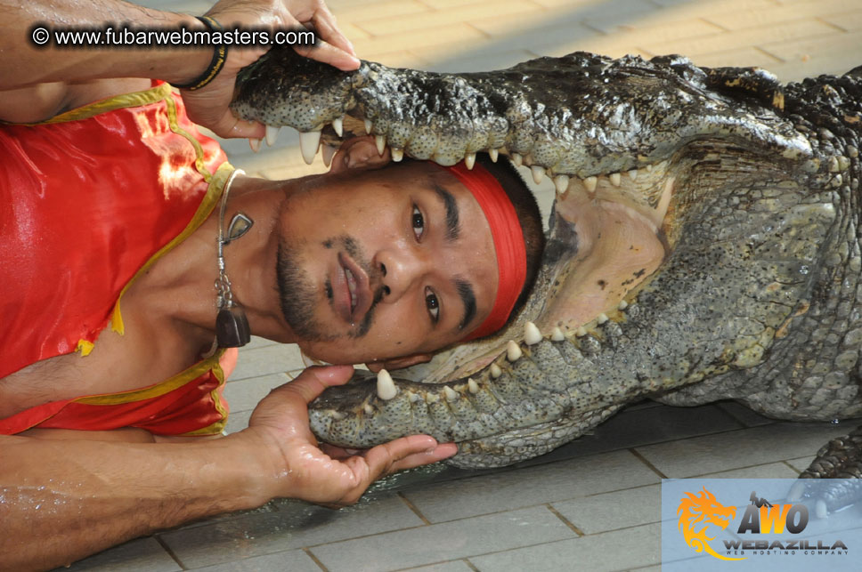 Crocodile Farm