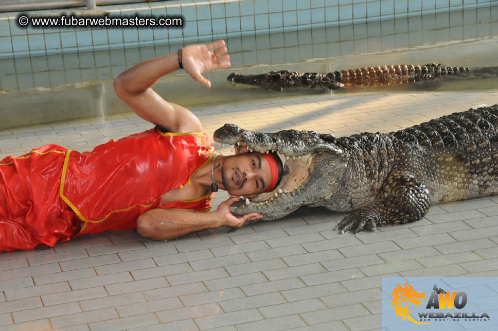 Crocodile Farm