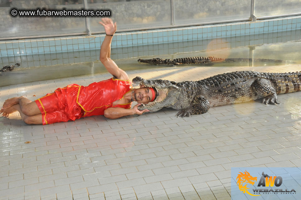 Crocodile Farm