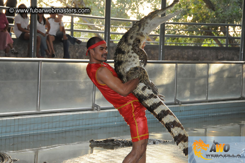 Crocodile Farm