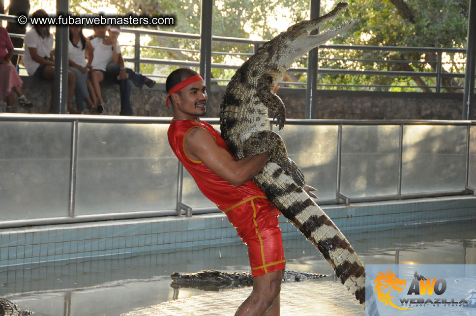 Crocodile Farm