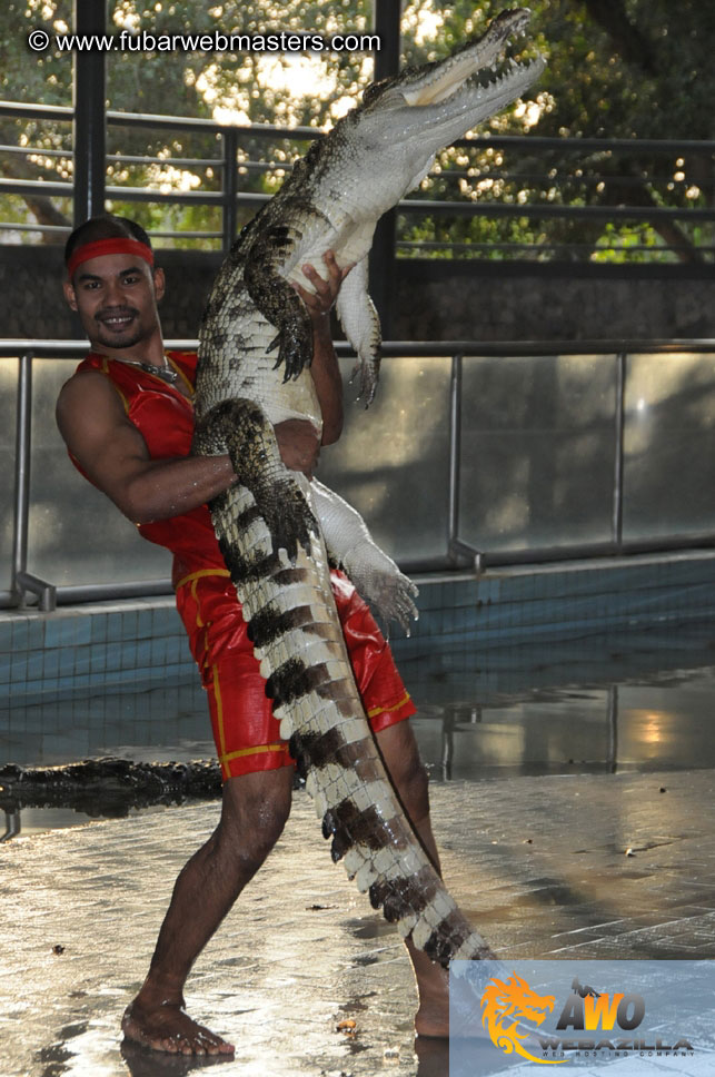 Crocodile Farm