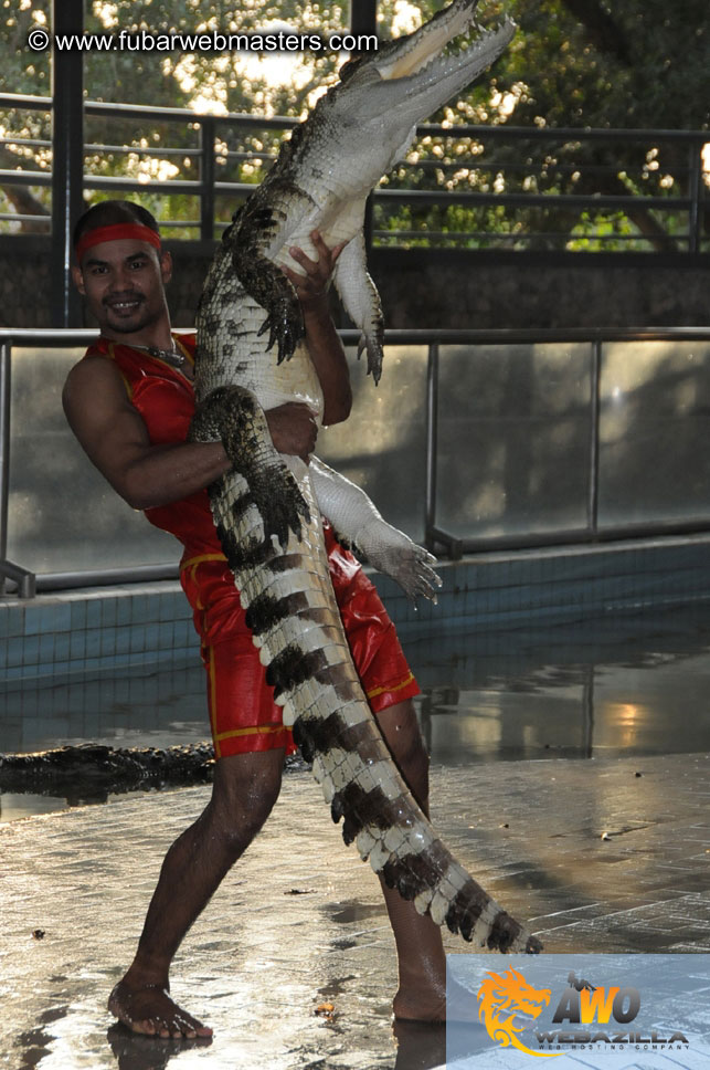 Crocodile Farm