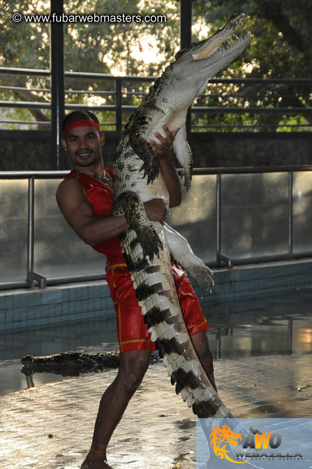 Crocodile Farm