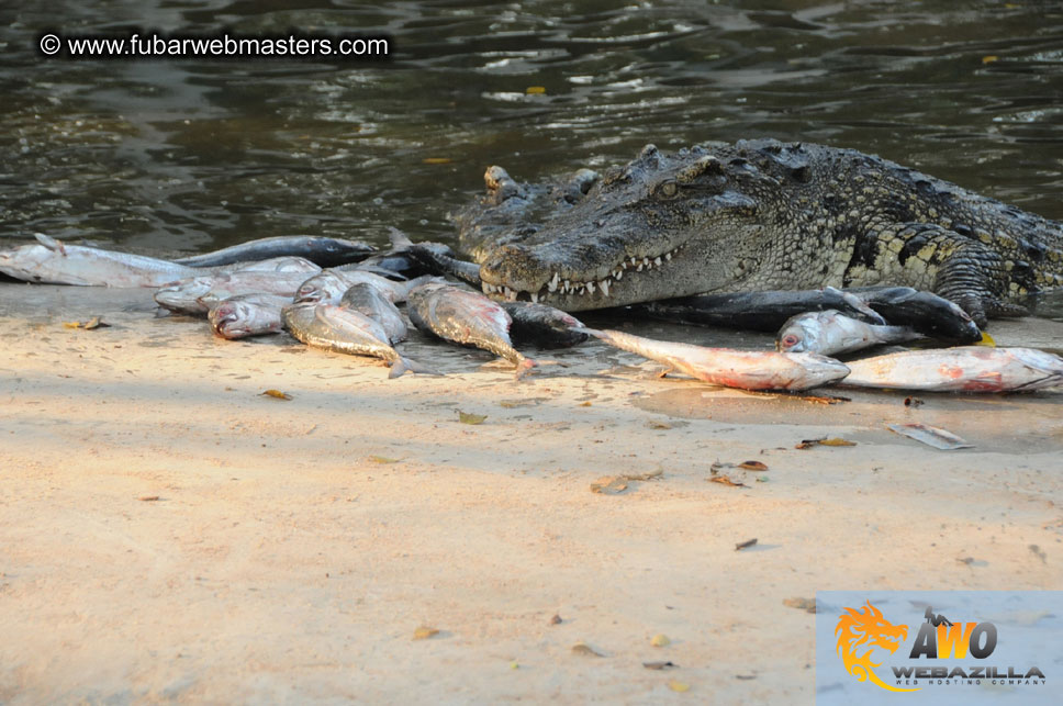 Crocodile Farm