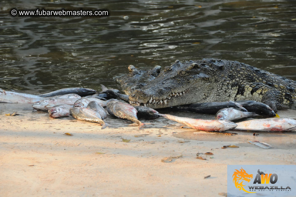 Crocodile Farm