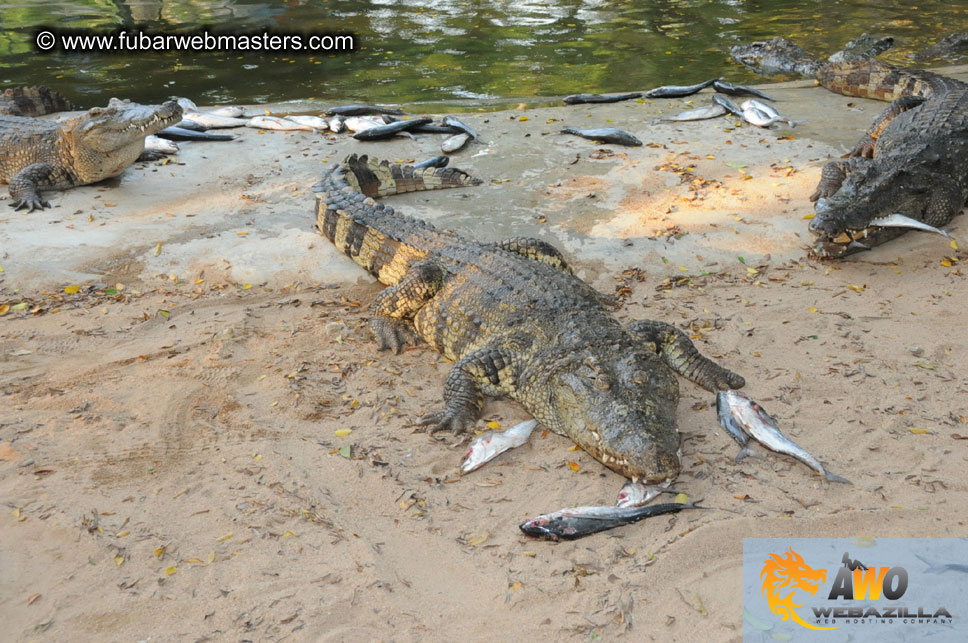 Crocodile Farm