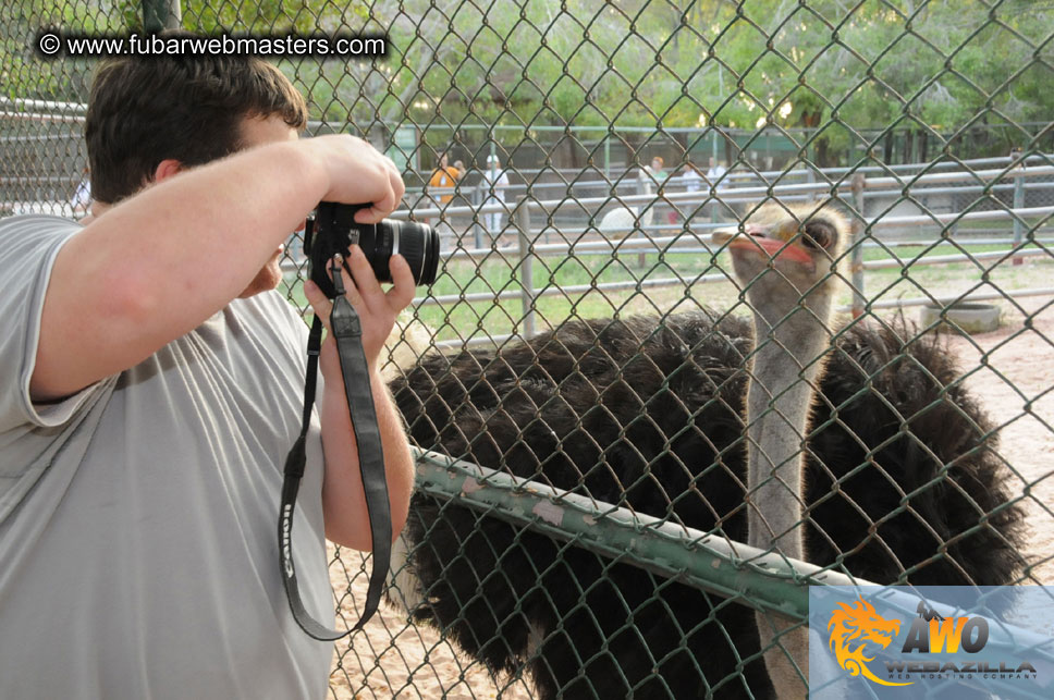 Crocodile Farm