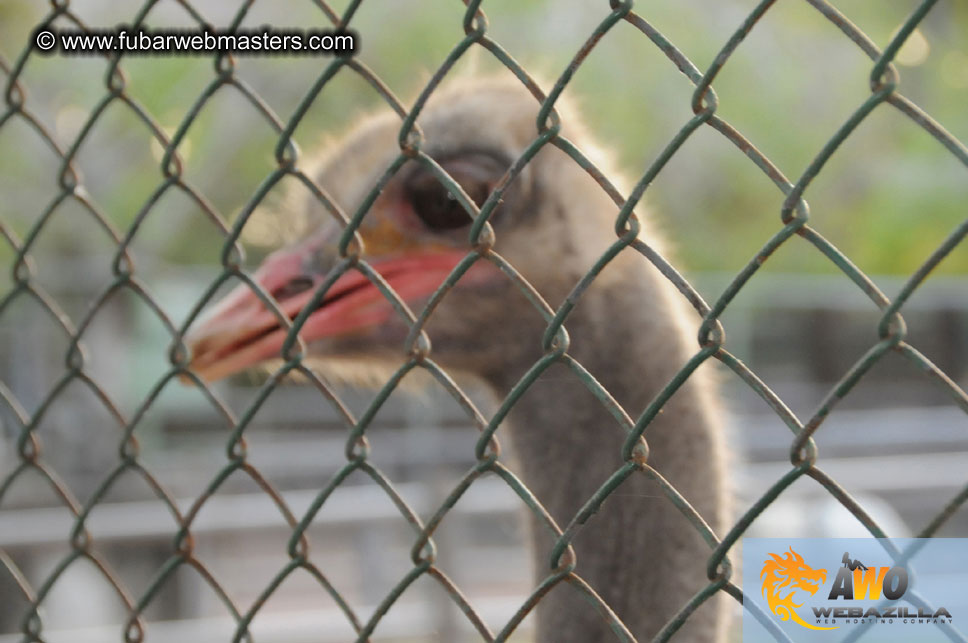 Crocodile Farm