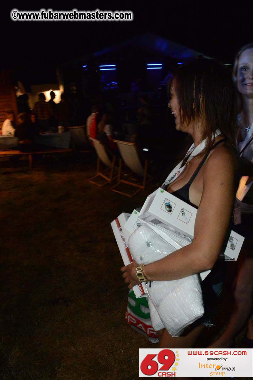 Adult Webmaster Meeting Evening Party