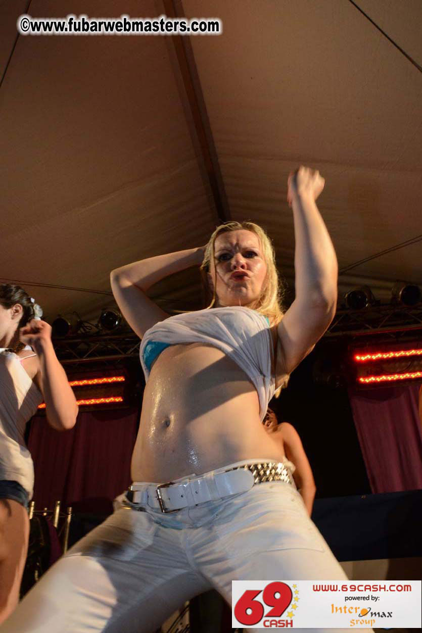 Adult Webmaster Meeting Evening Party