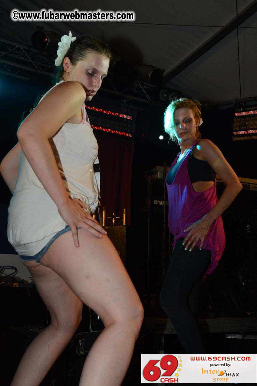 Adult Webmaster Meeting Evening Party