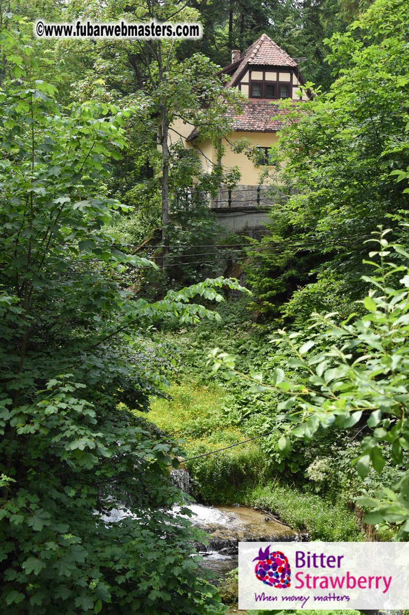 Road Trip to Transylvania