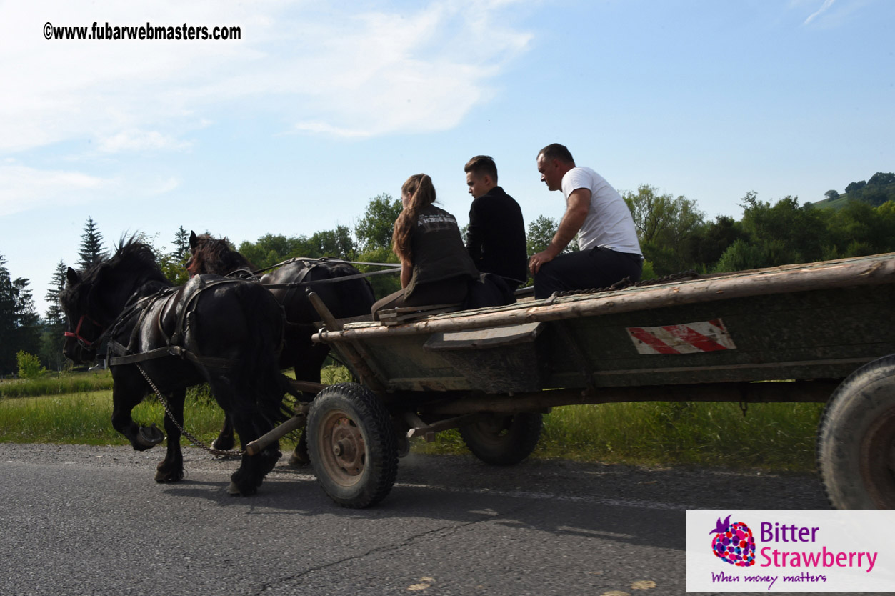 Road Trip to Transylvania