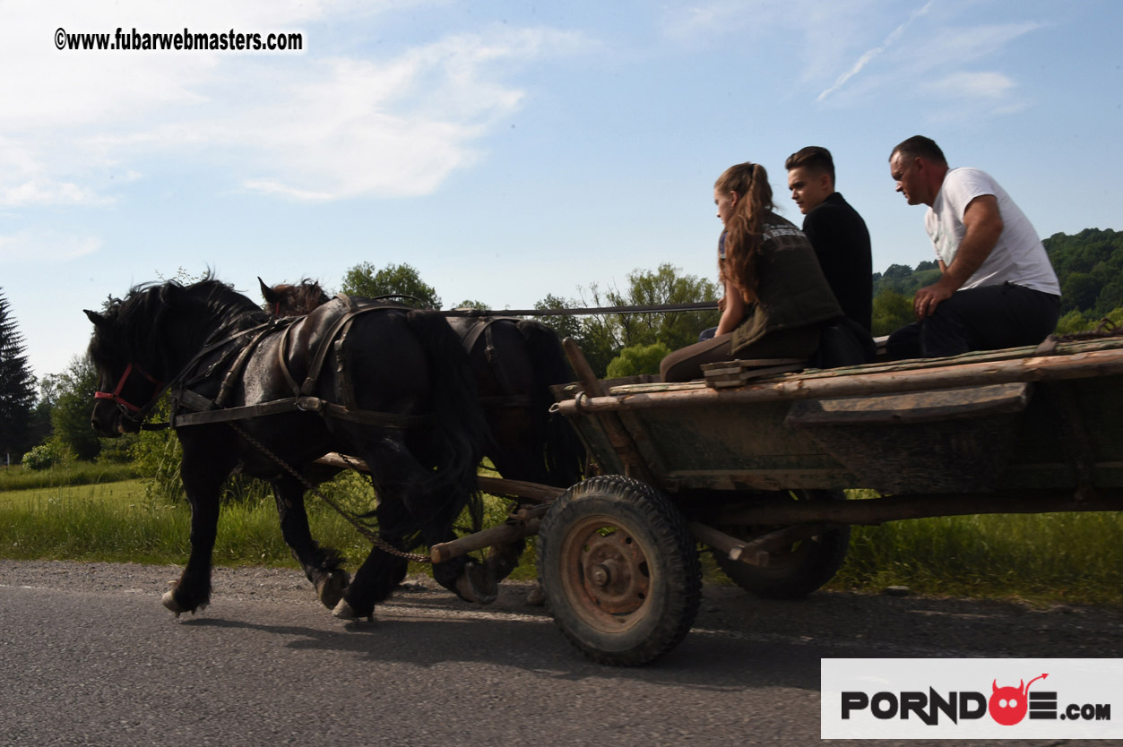 Road Trip to Transylvania