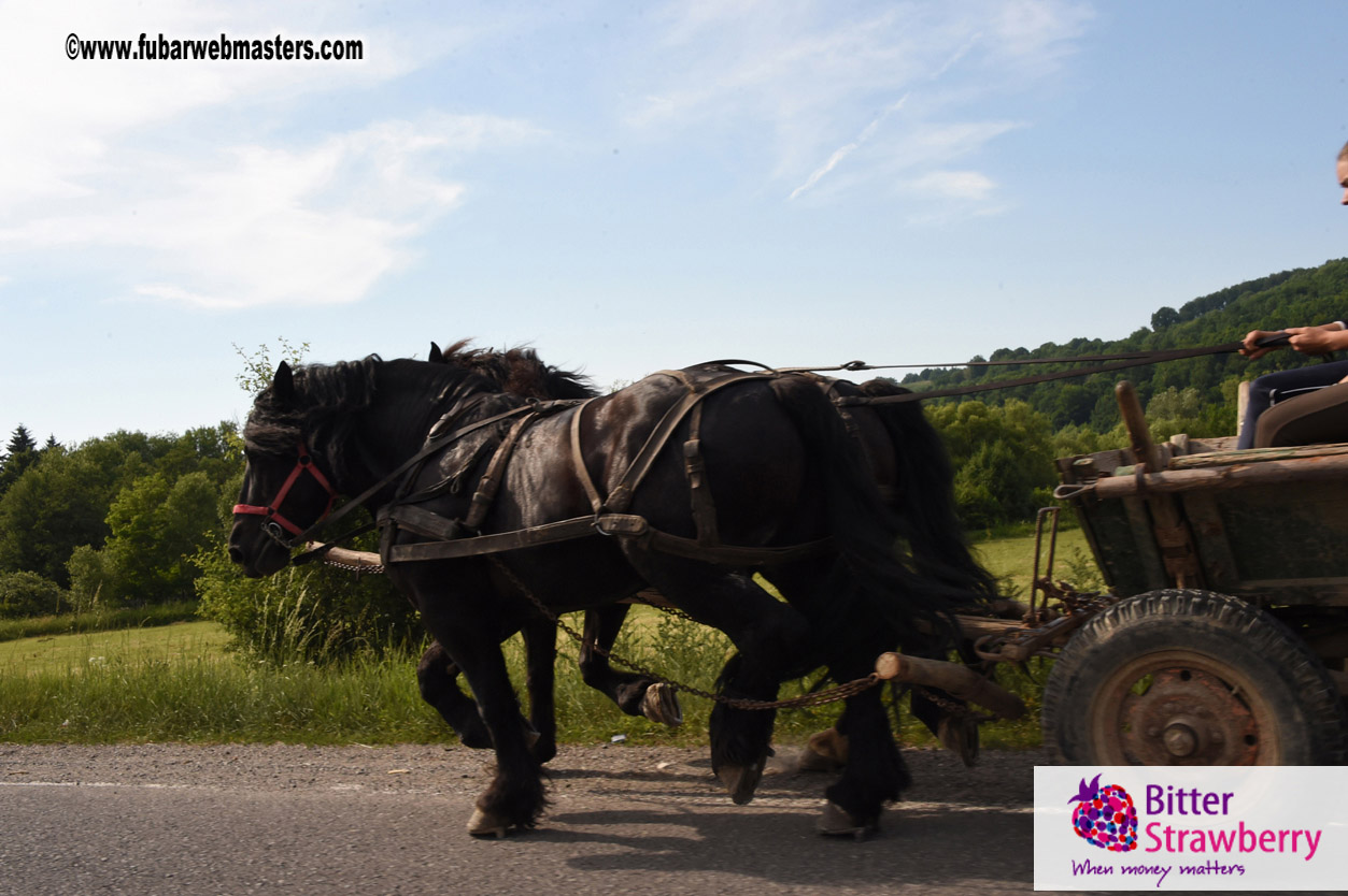 Road Trip to Transylvania