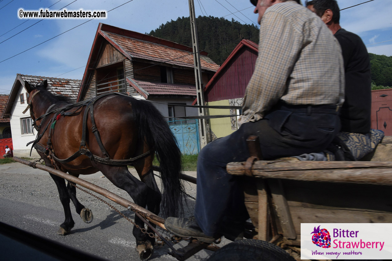 Road Trip to Transylvania