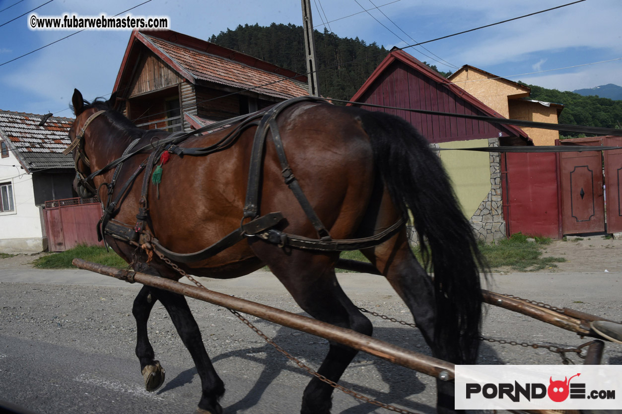 Road Trip to Transylvania