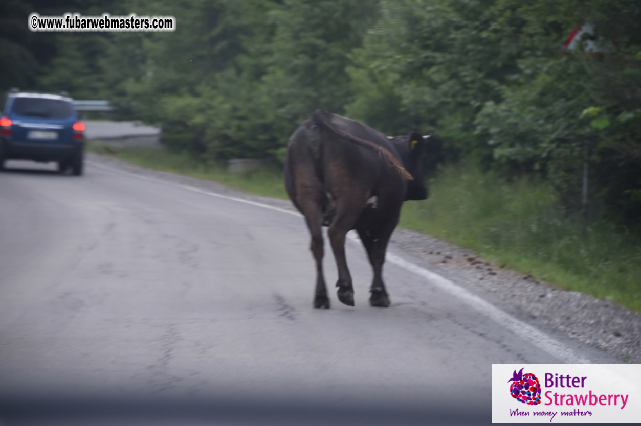 Road Trip to Transylvania