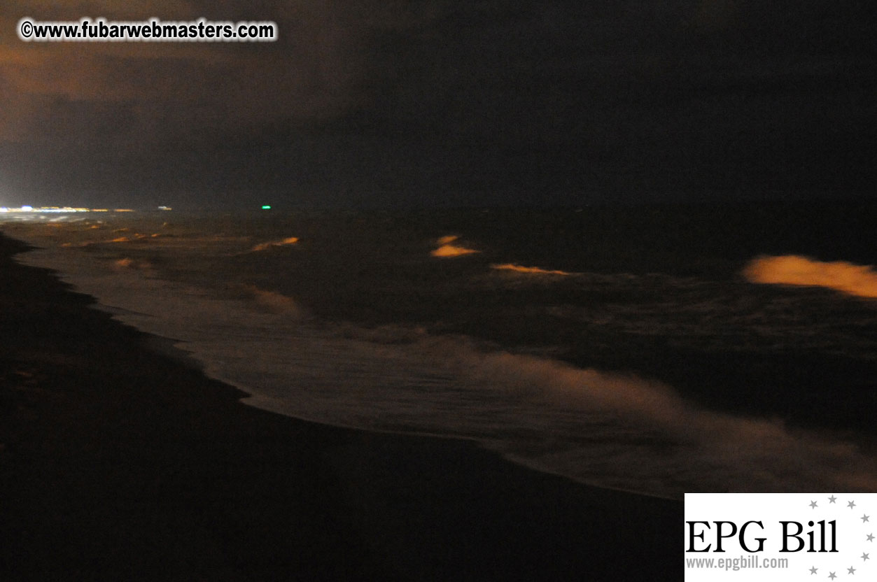 Early Arrivals & Beach Scenes