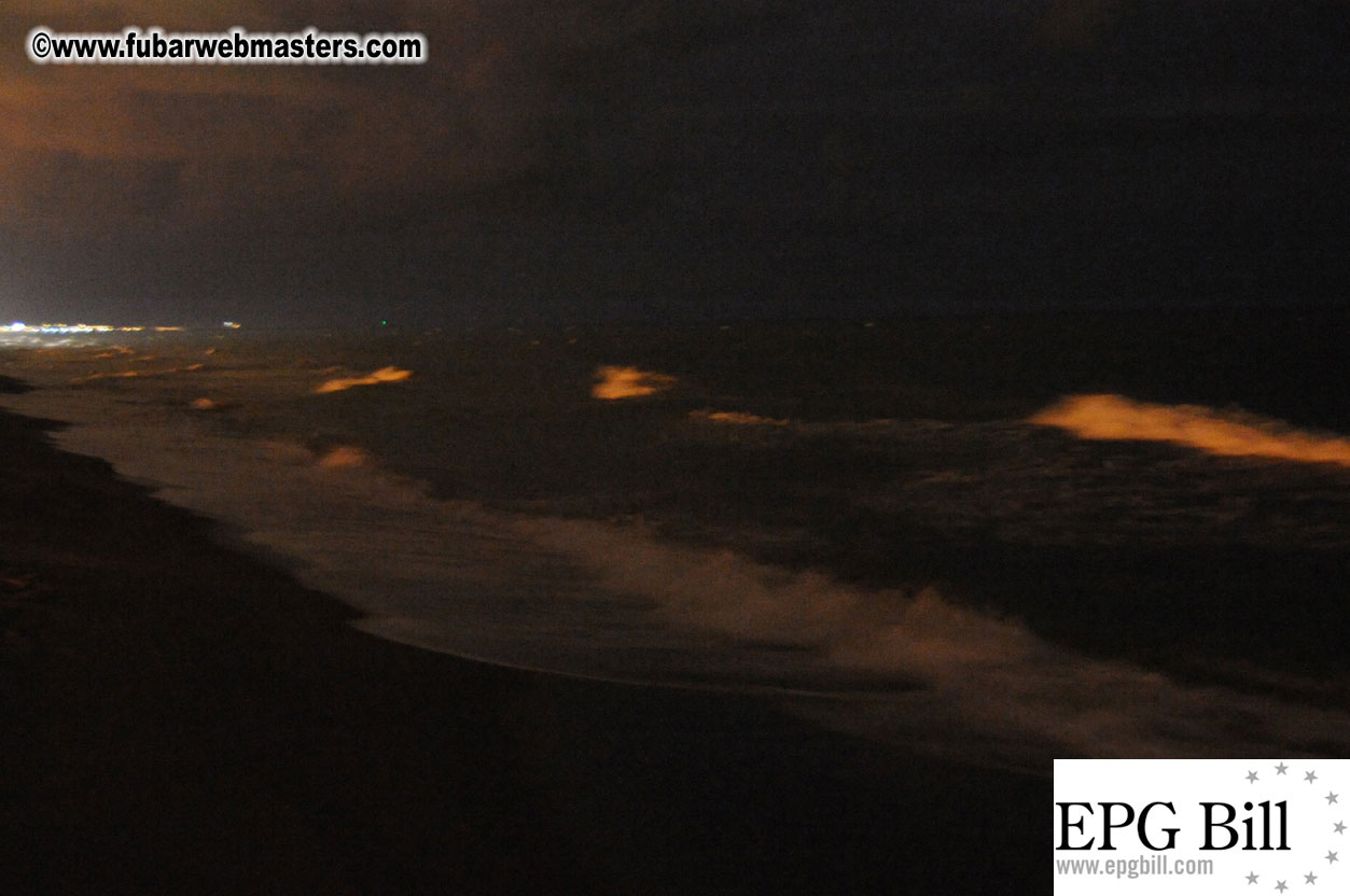 Early Arrivals & Beach Scenes