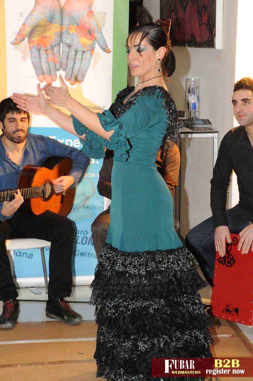 Live Flamenco Show