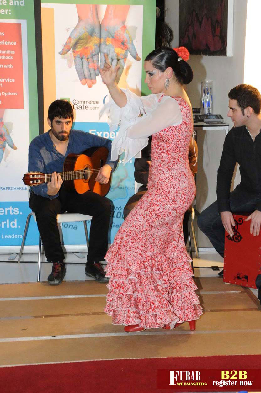 Live Flamenco Show