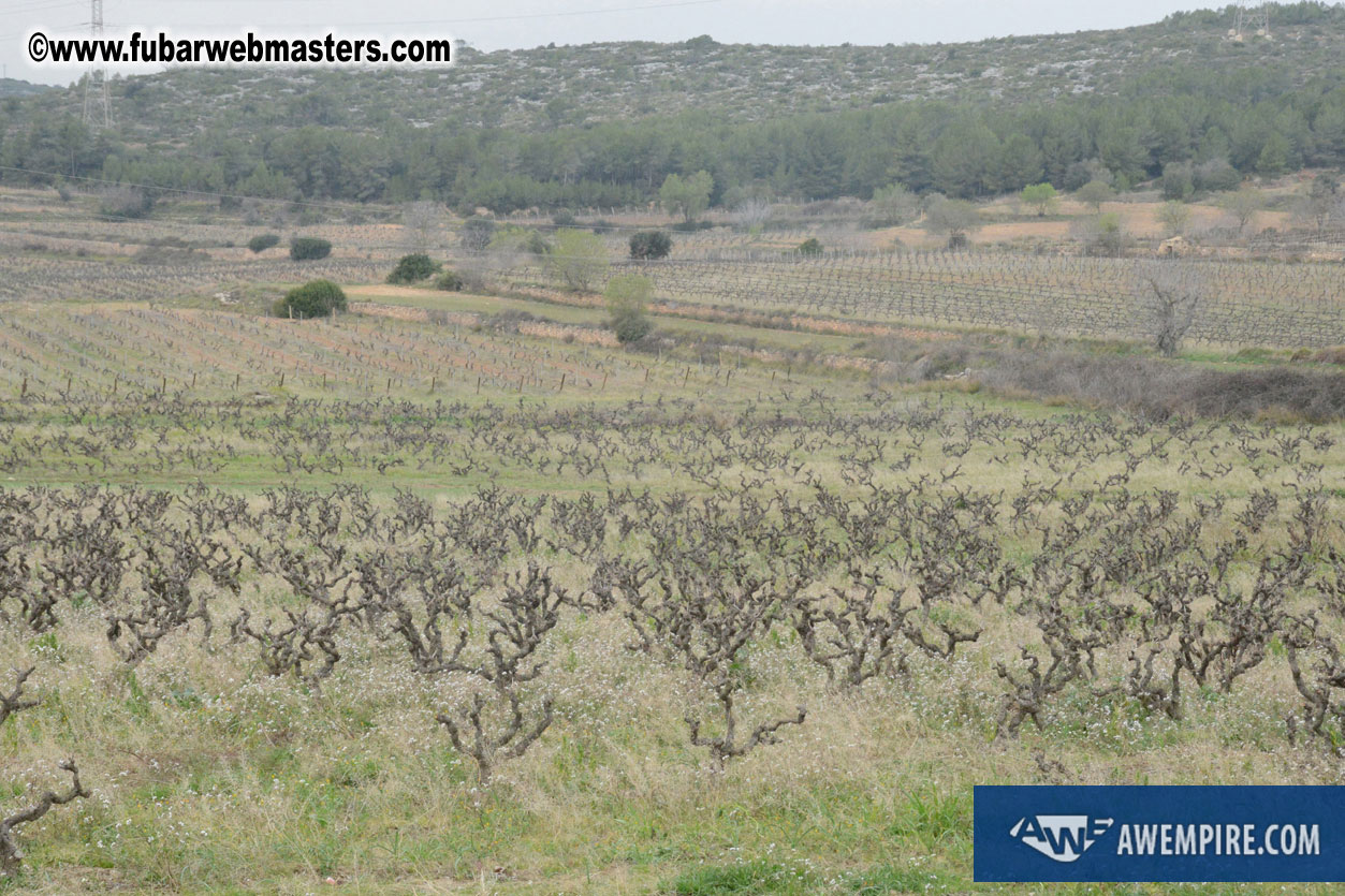 Spanish Wine Tasting