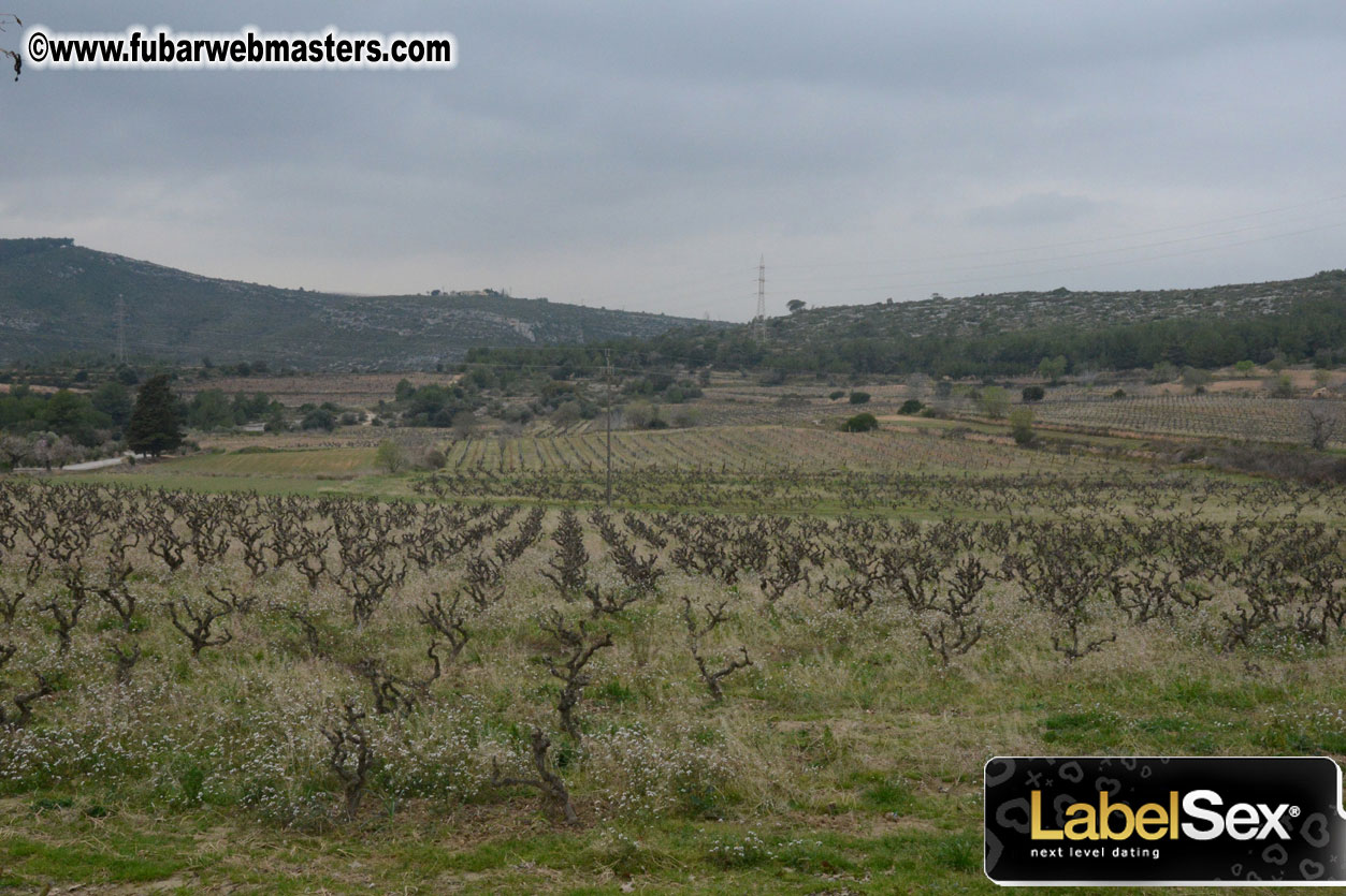 Spanish Wine Tasting