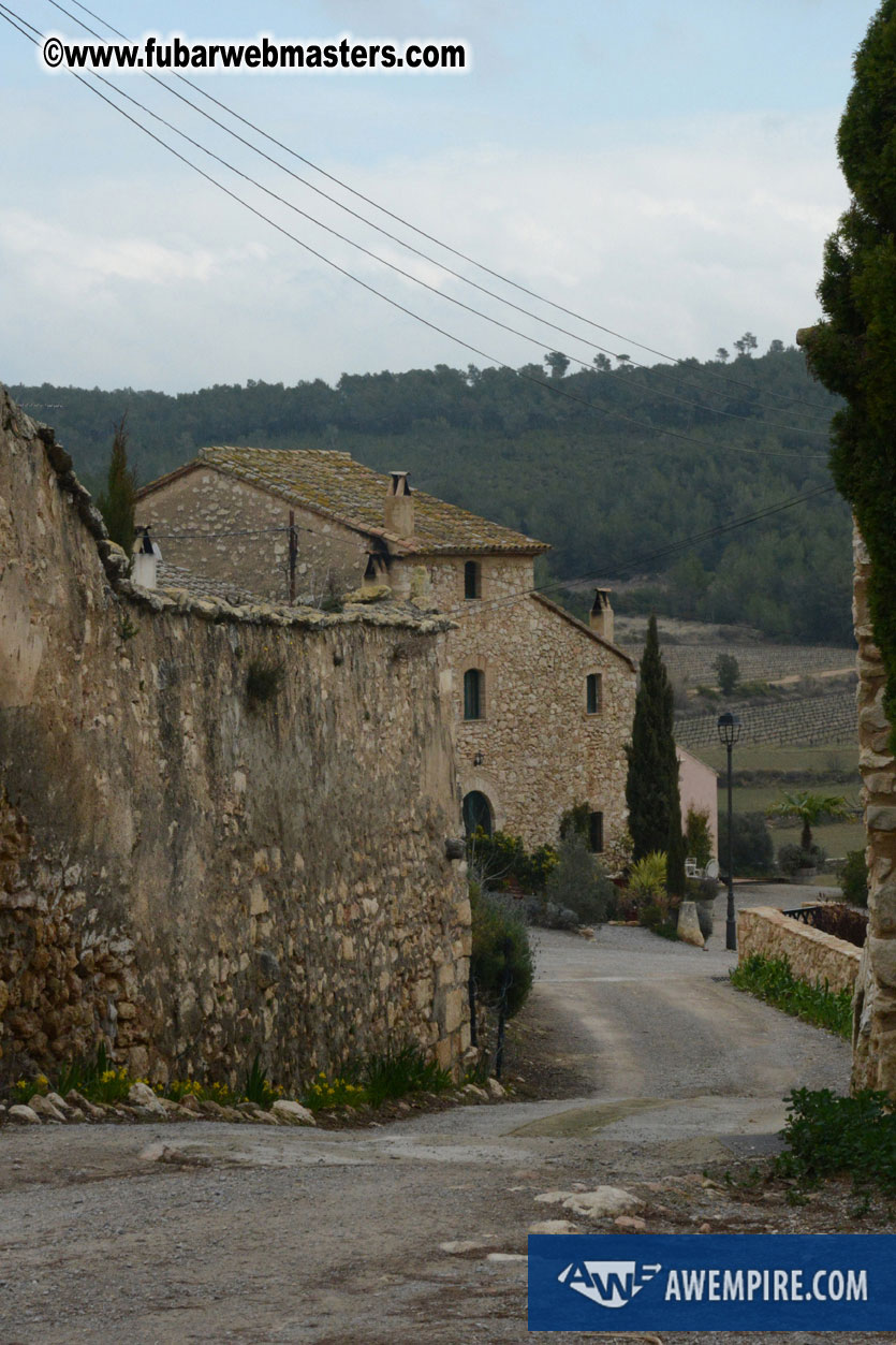 Spanish Wine Tasting