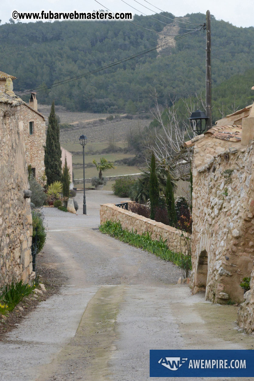 Spanish Wine Tasting