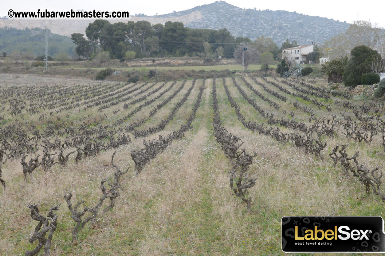 Spanish Wine Tasting