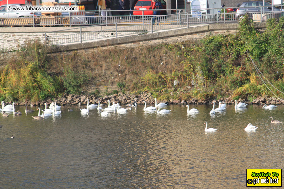 Rhein Partie 2009