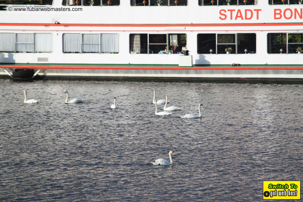 Rhein Partie 2009