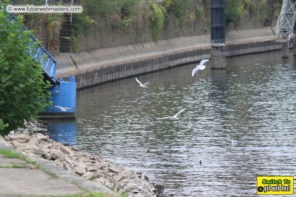 Rhein Partie 2009