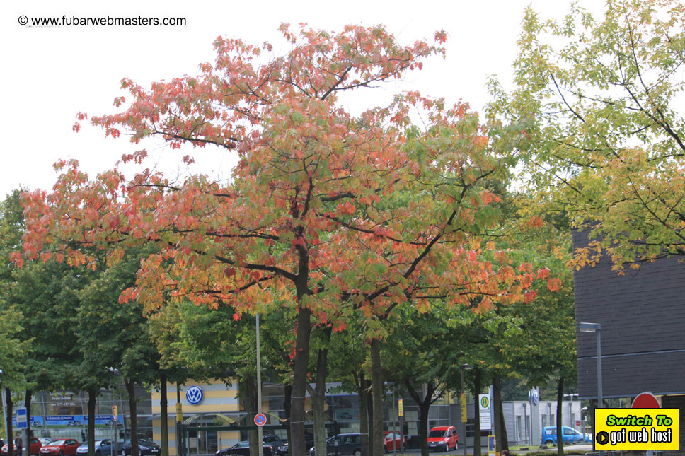 Rhein Partie 2009