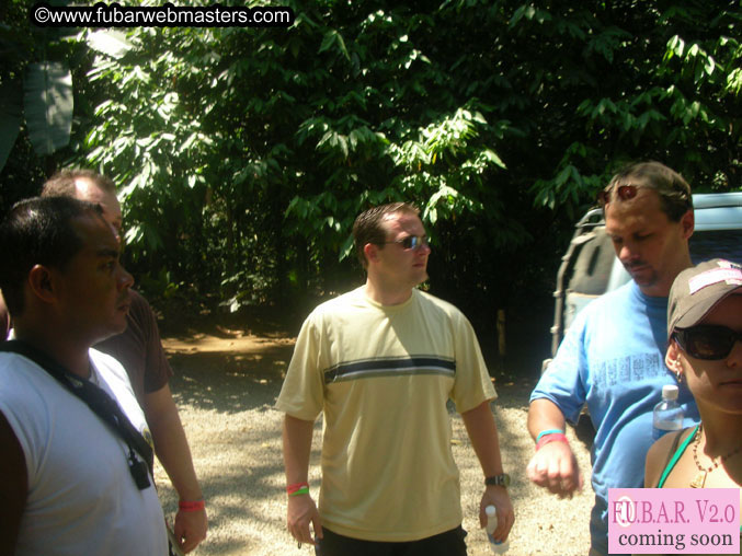 Rainforest Canopy Tours