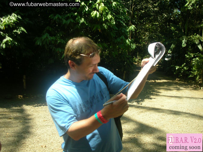 Rainforest Canopy Tours