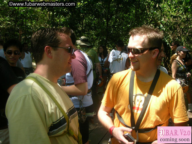 Rainforest Canopy Tours