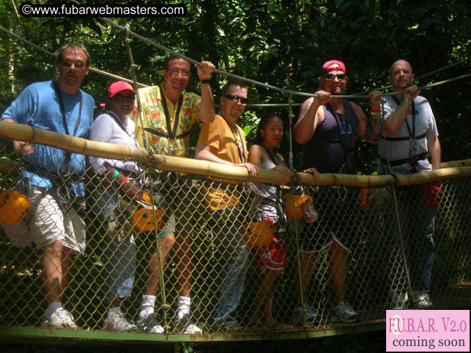 Rainforest Canopy Tours