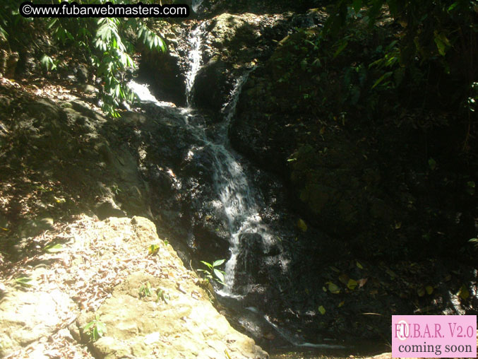 Rainforest Canopy Tours